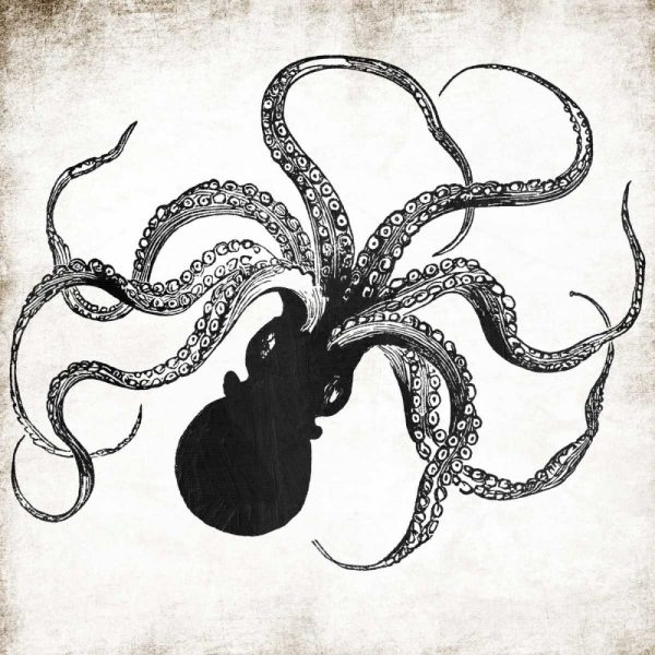 Octopus Ink