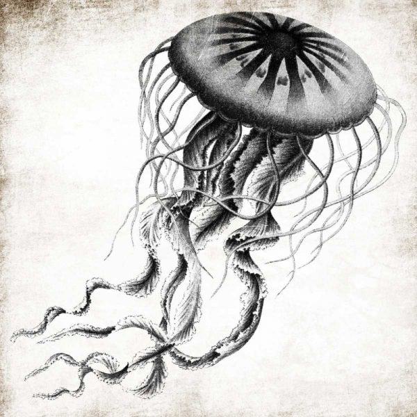 Jellyfish Ink