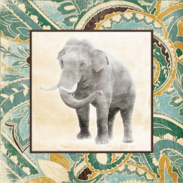 Floral Sea Elephant