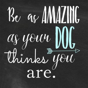 Be Amazing Dog 1