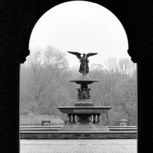 Central Park Diptych A