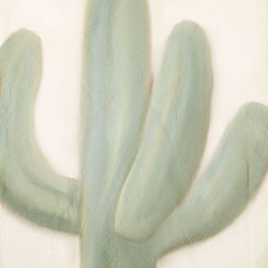 Sage Cactus 1