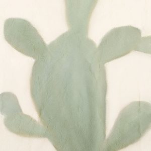 Sage Cactus 2