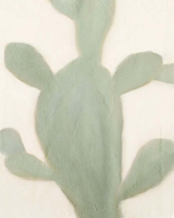 Sage Cactus 2