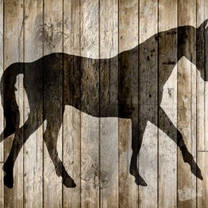 Barnwood Horse