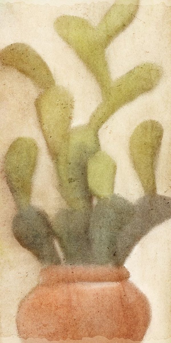 Potted Cactus 1