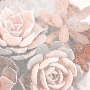 Dusty Pink Succulents 1