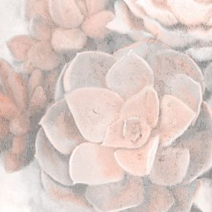 Dusty Pink Succulents 2