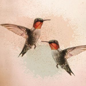 Hummingbird Flight