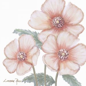 Pink Poppies 1