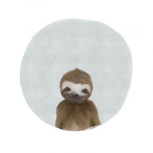 Baby Sloth