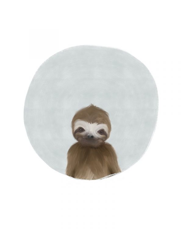 Baby Sloth