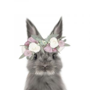 Floral Bunny