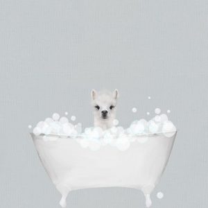 Alpaca Blue Bath