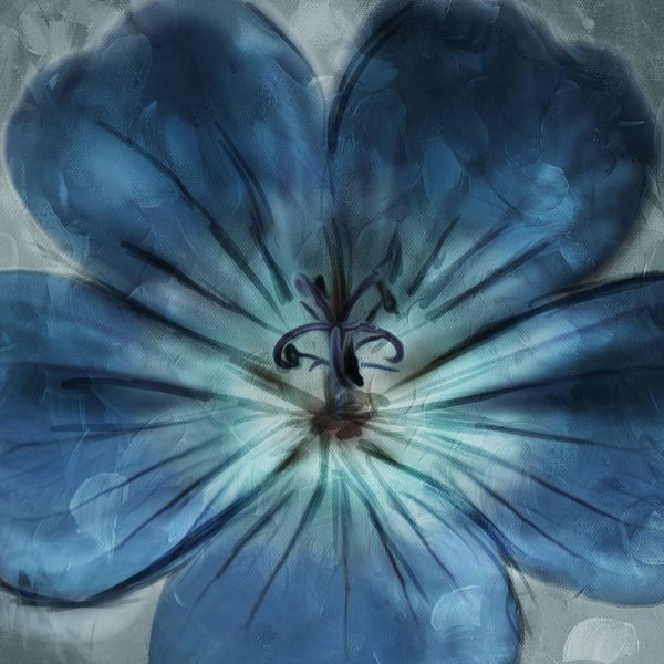 Uplifting Blue Flower