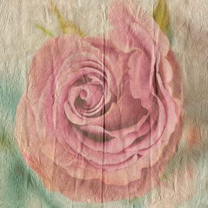 Vintage Rose