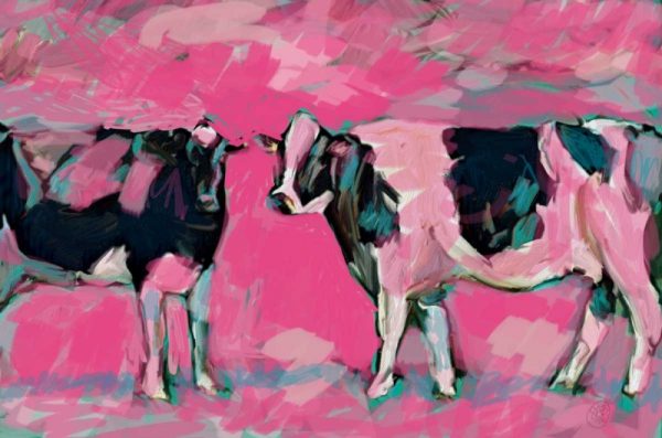 Pink Cows 1