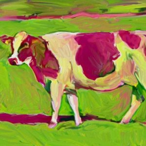 Pink Cow 2