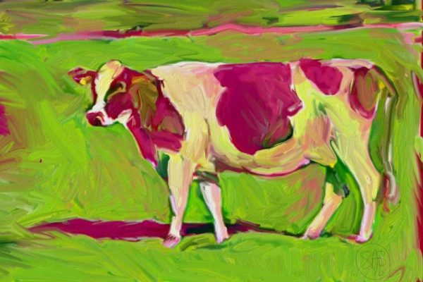 Pink Cow 2