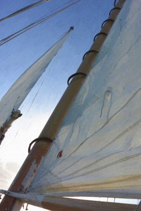 Sail And Mast