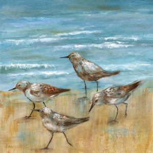 Sandpipers III