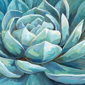 Cerulean Succulent