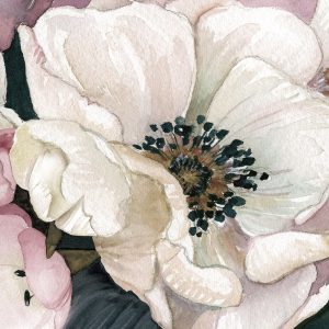 Anemone Study III