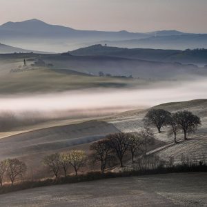 Frosty Dawn