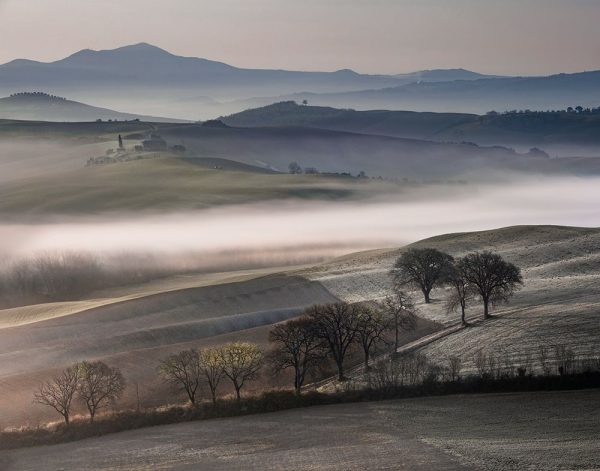 Frosty Dawn