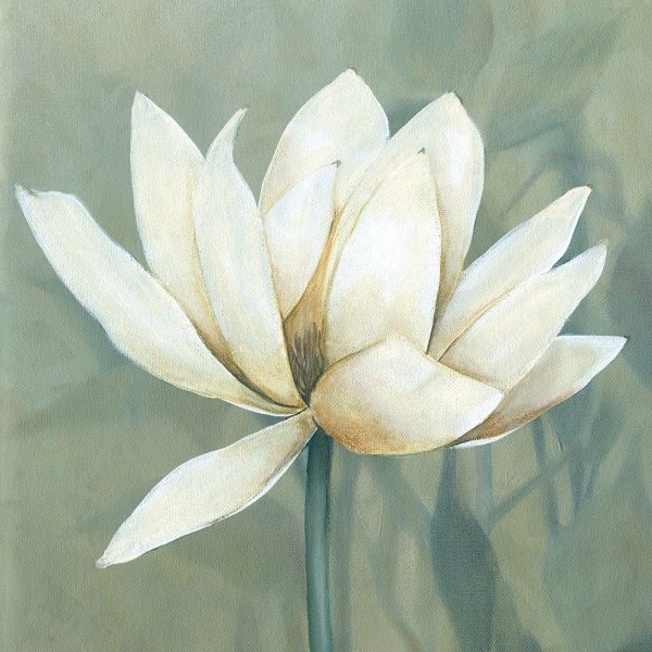 Waterlily I