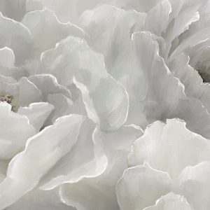 Soft Peony Lace