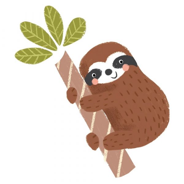 Brown Sloth