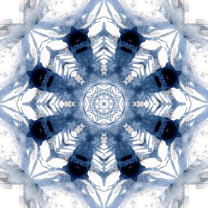 Indigo Kaleidoscope III