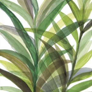 Tropical Greens II