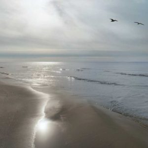 Beach Flight