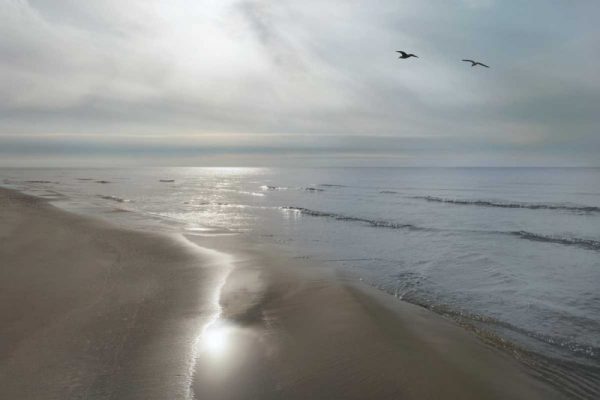 Beach Flight