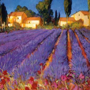 Late Afternoon, Lavender Fields