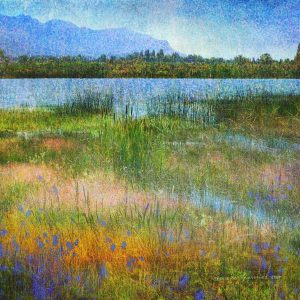 Lake Near Mesa Verde