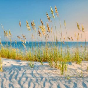 Sea Oats