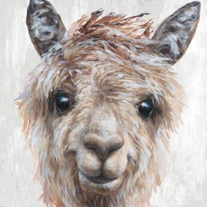 Alpaca II