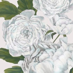 Grey Peony II