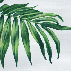 Tropical Leaf I