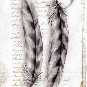 Vintage Feathers I