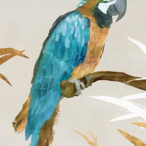 Blue Parrot I