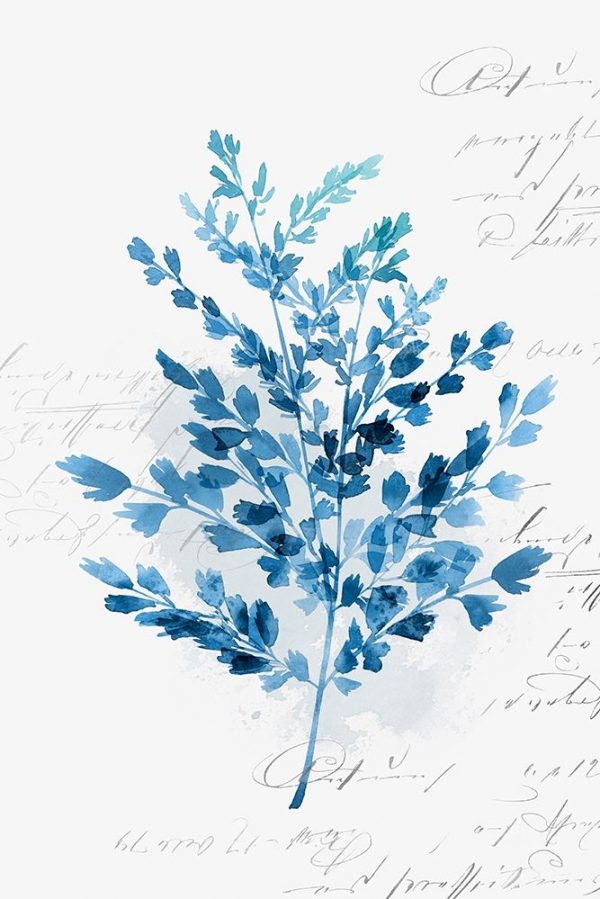 Botanical Blue III