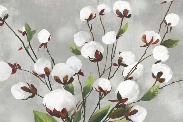 Cotton Ball Flowers I