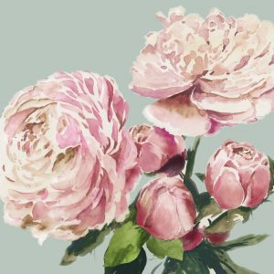 Pink Peony II