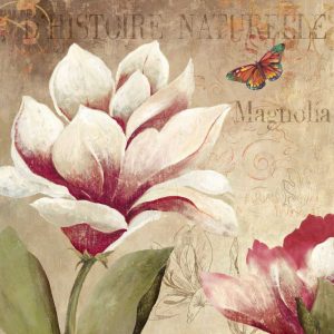 Magnolia