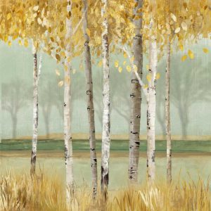 Golden Birch