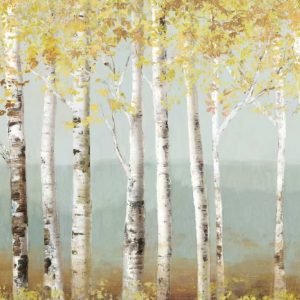 Soft Birch